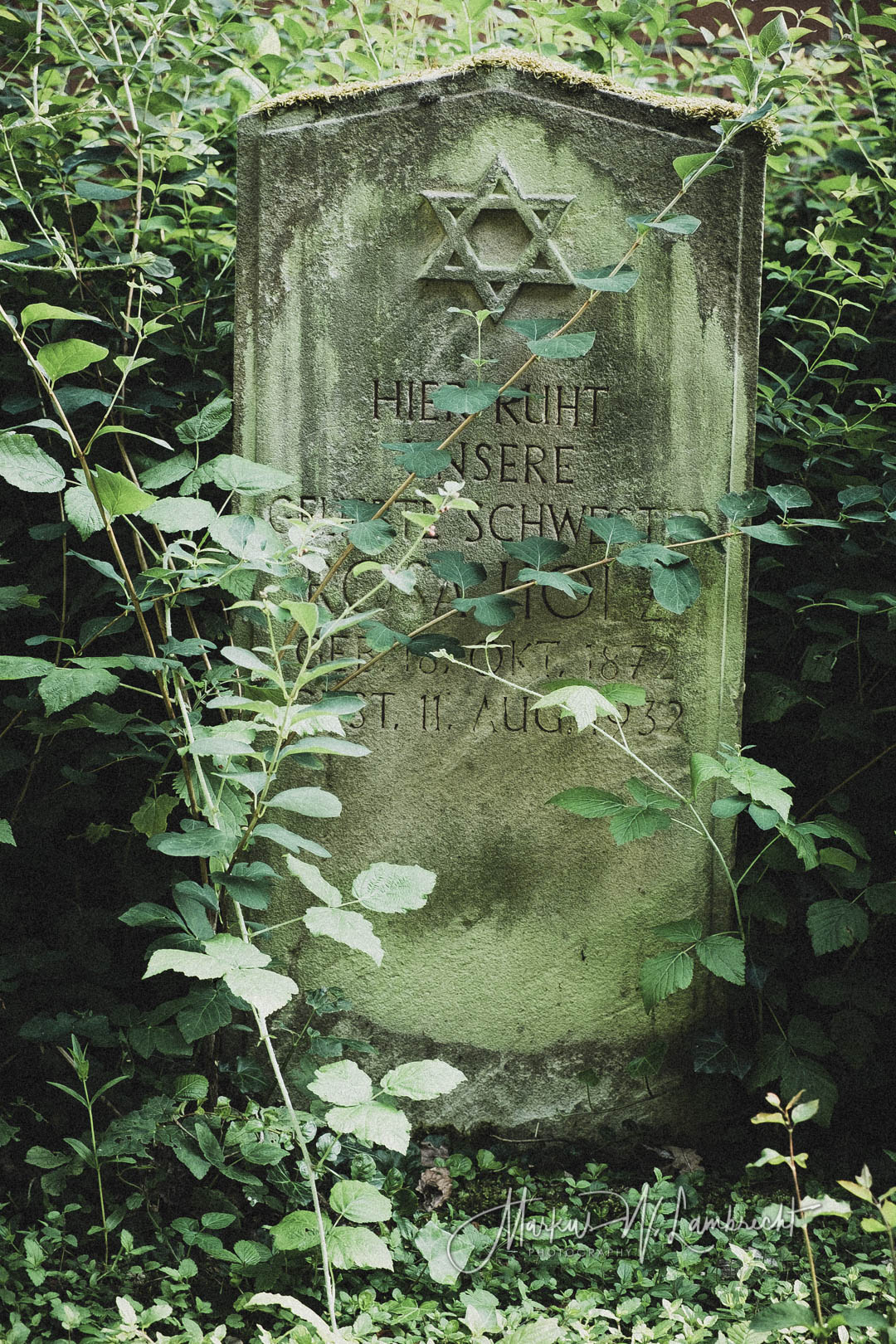 Jüdischer Friedhof Kassel-Bettenhausen